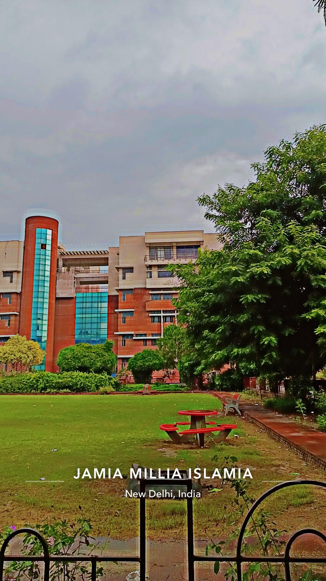 Jamia Millia Islamia photo 9