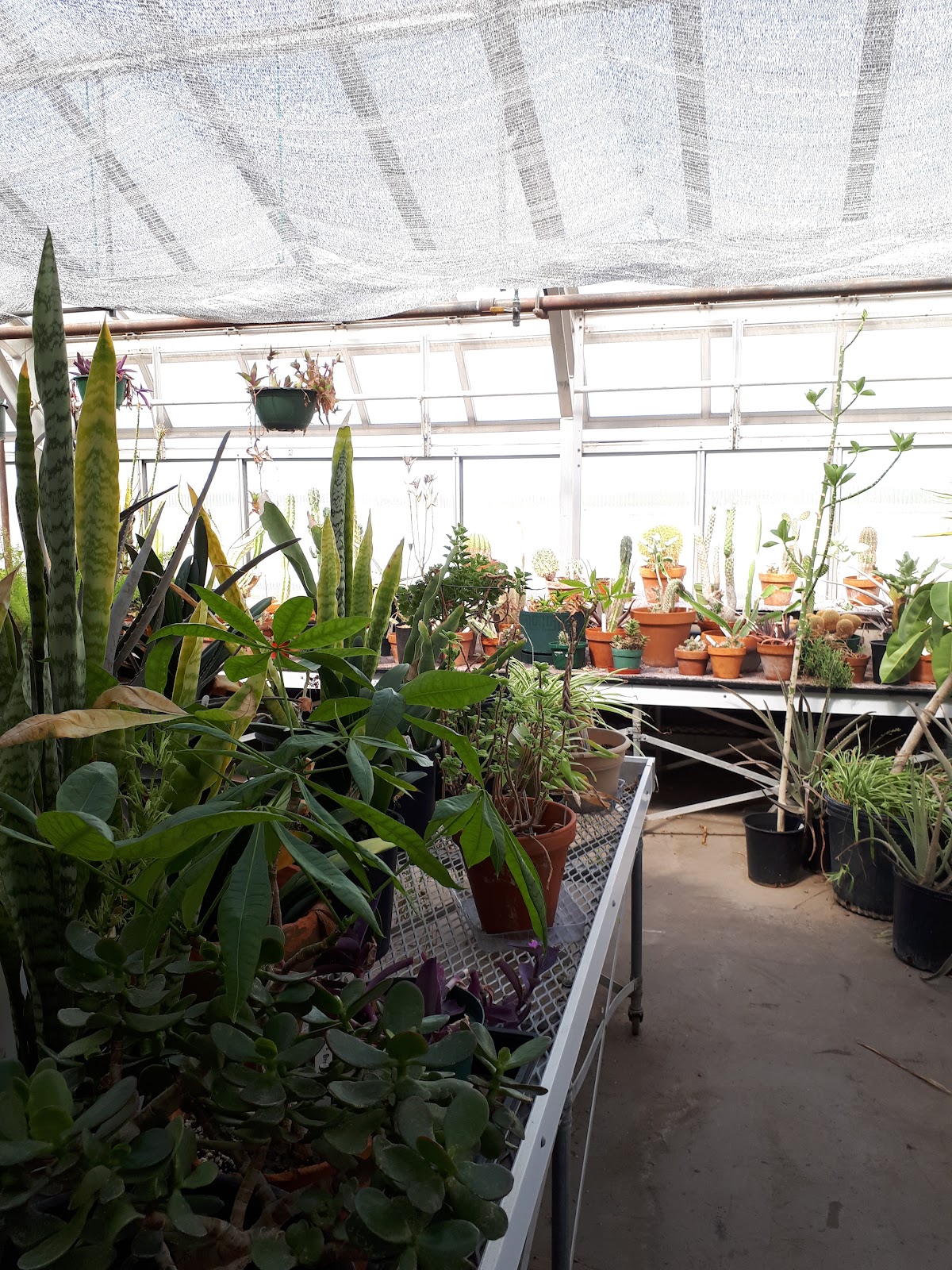 Brandon University photo 9