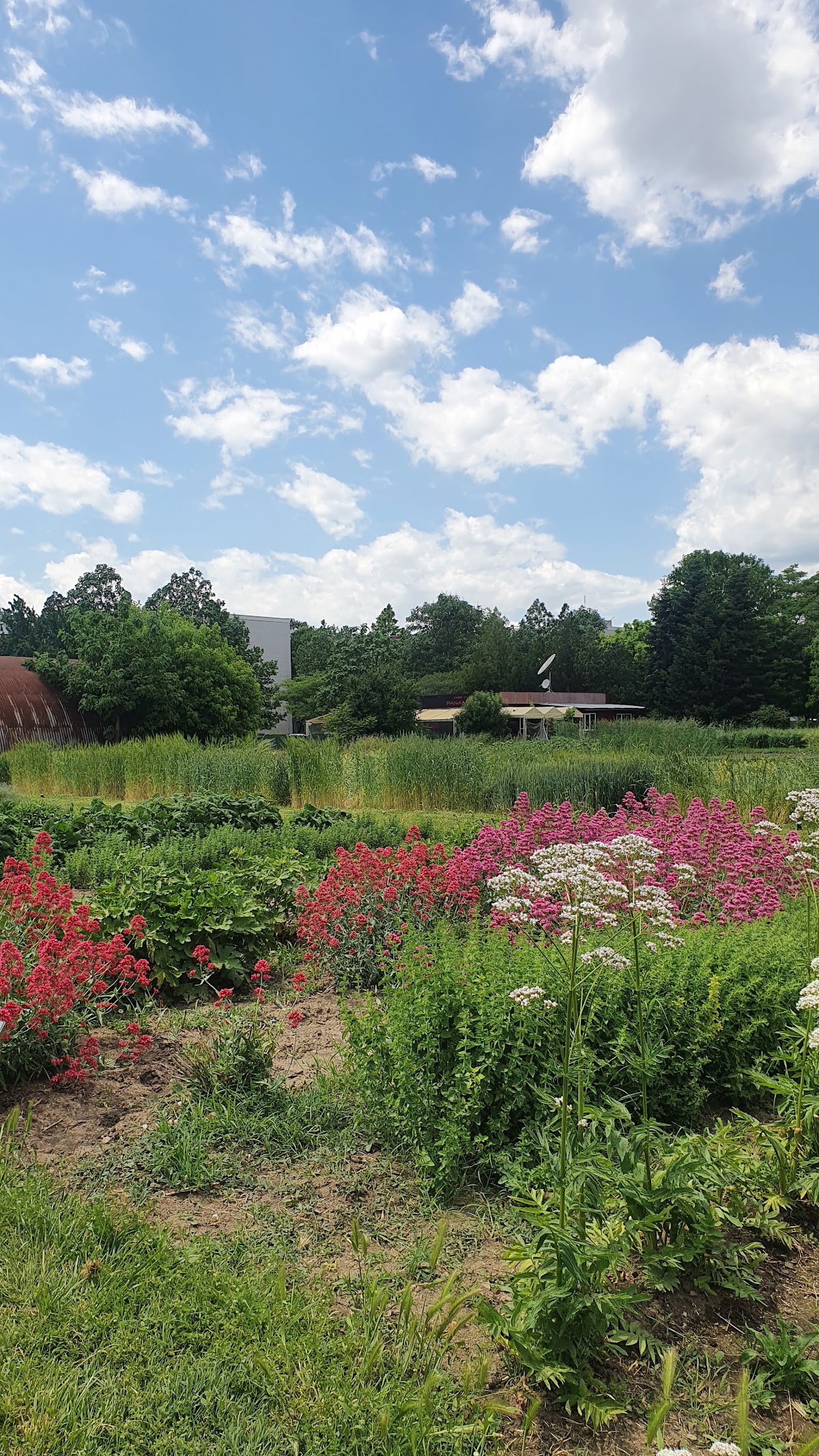Agricultural University of Plovdiv photo 7