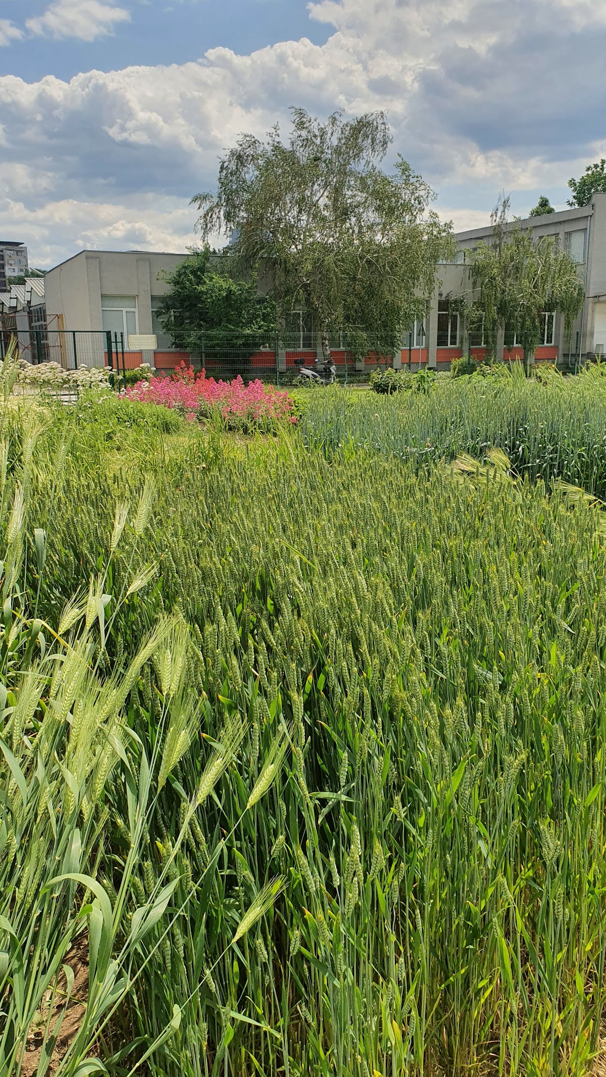 Agricultural University of Plovdiv photo 9