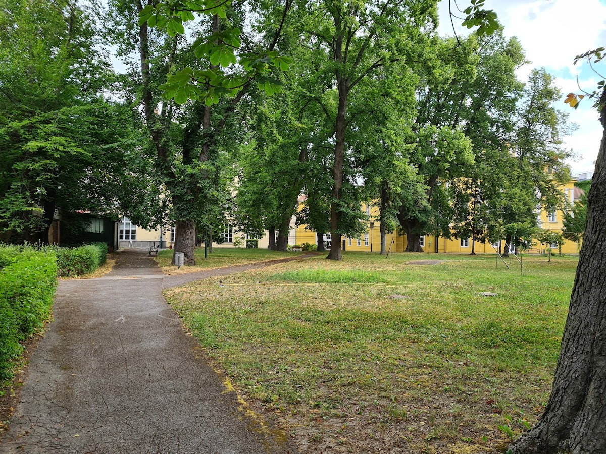 Lauder Business School photo 2