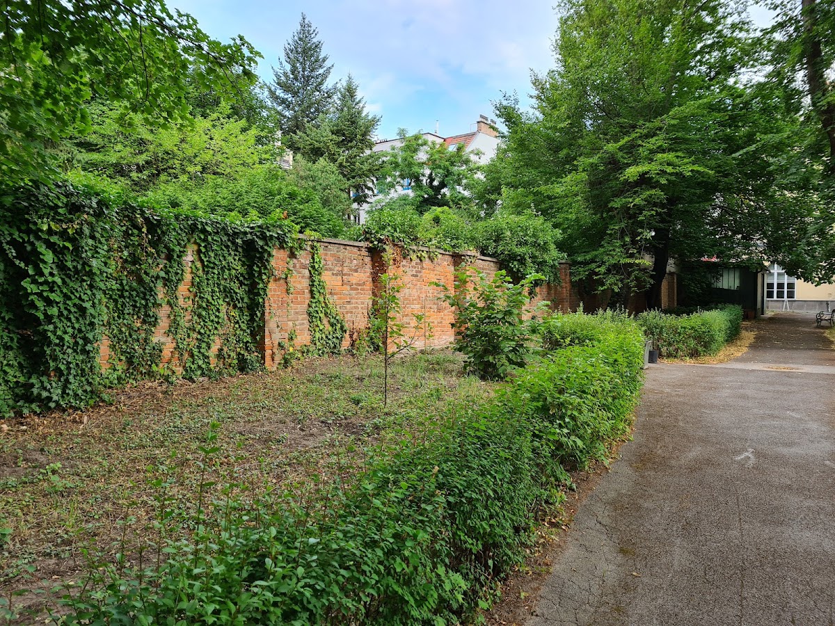 Lauder Business School photo 6