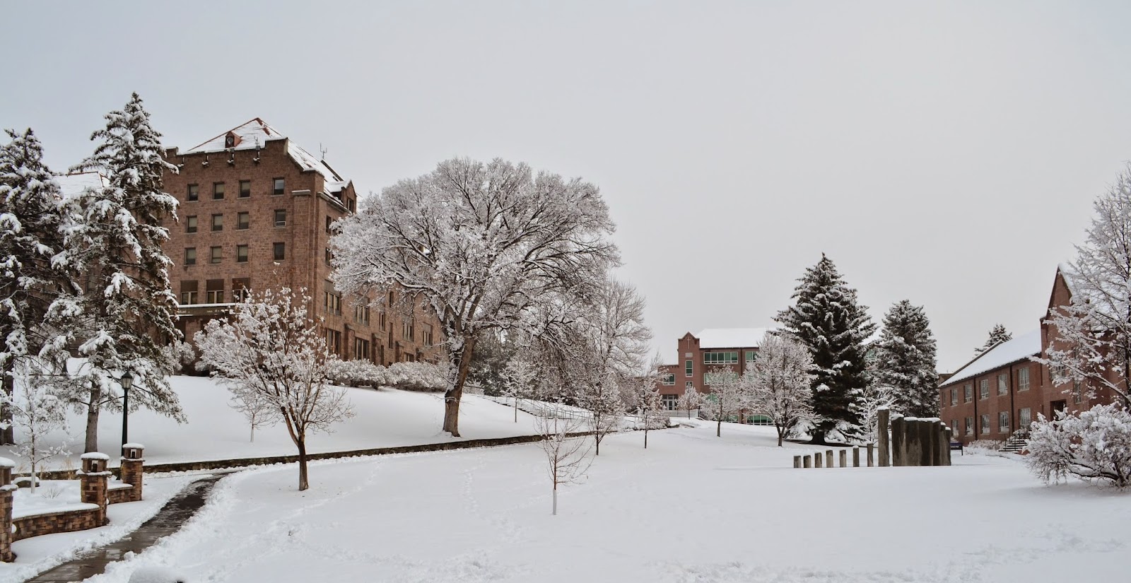 Carroll College