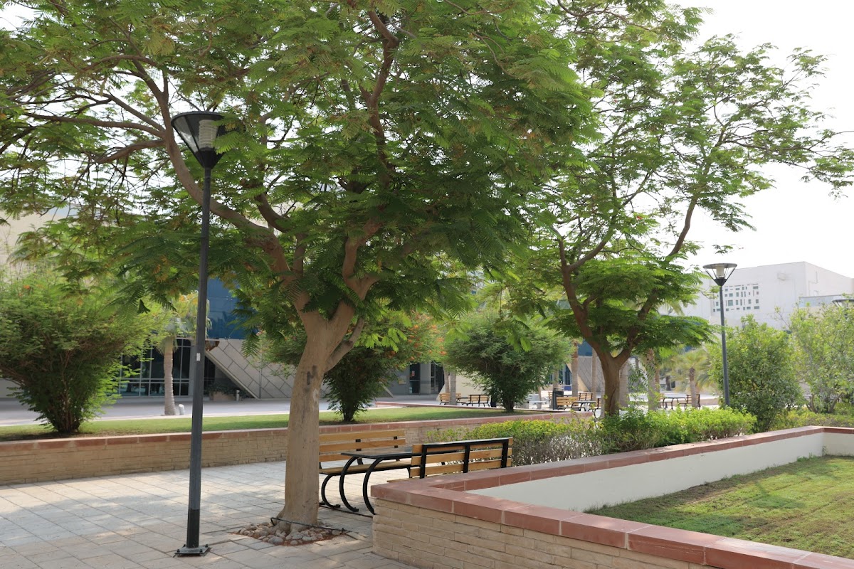 University of Doha for Science and Technology photo 2