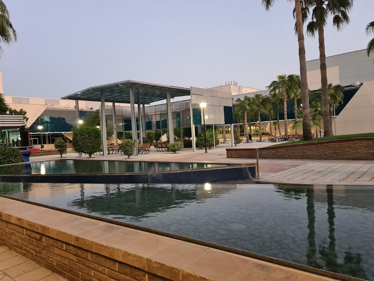 University of Doha for Science and Technology photo 4