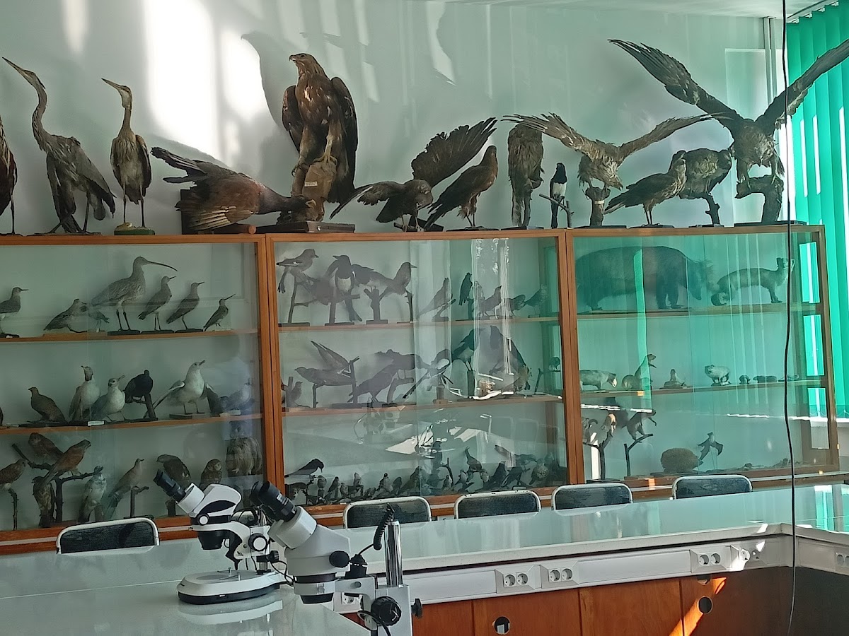 North University Center of Baia Mare photo 1