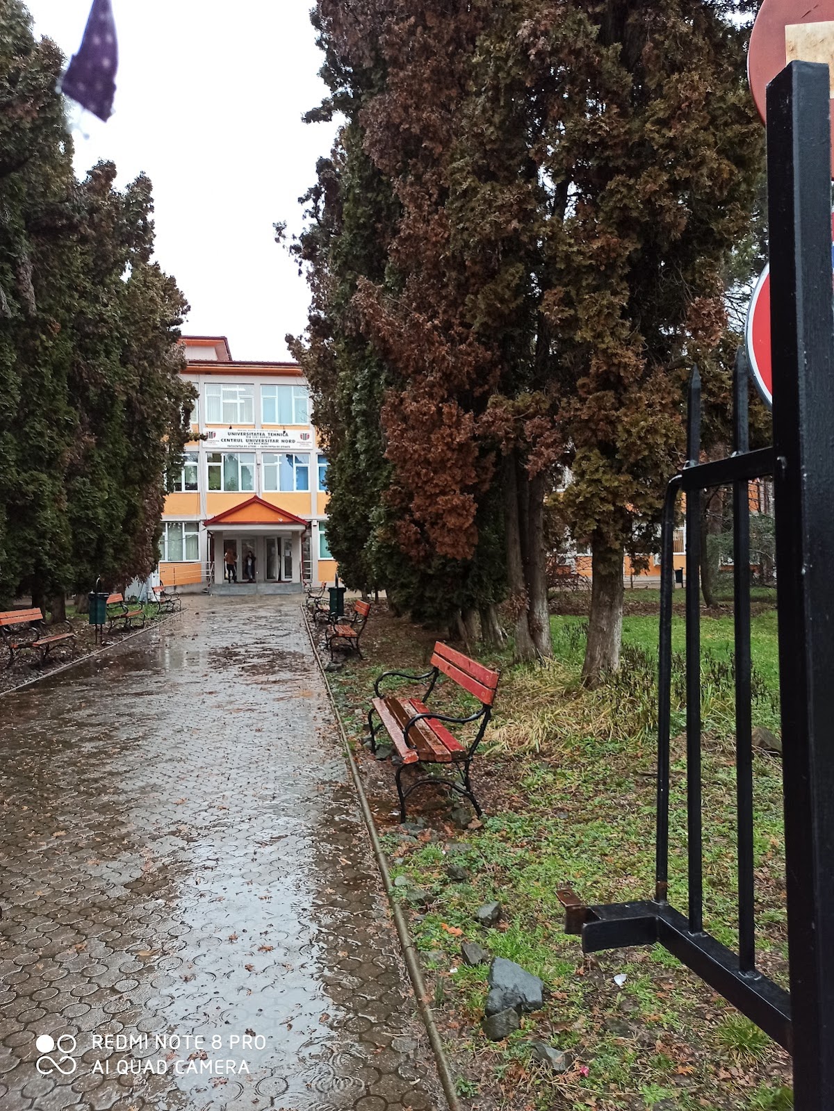 North University Center of Baia Mare photo 5