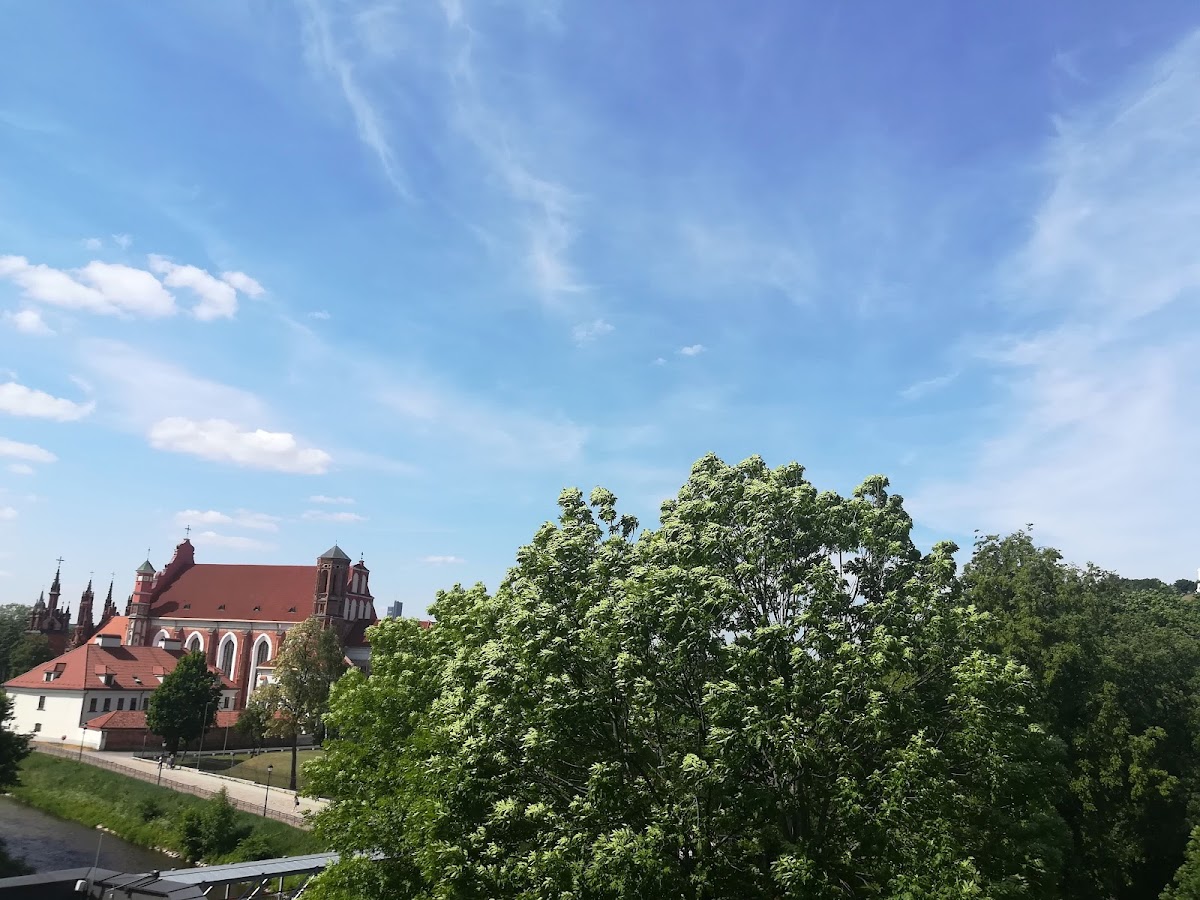 Academy of Art photo 4