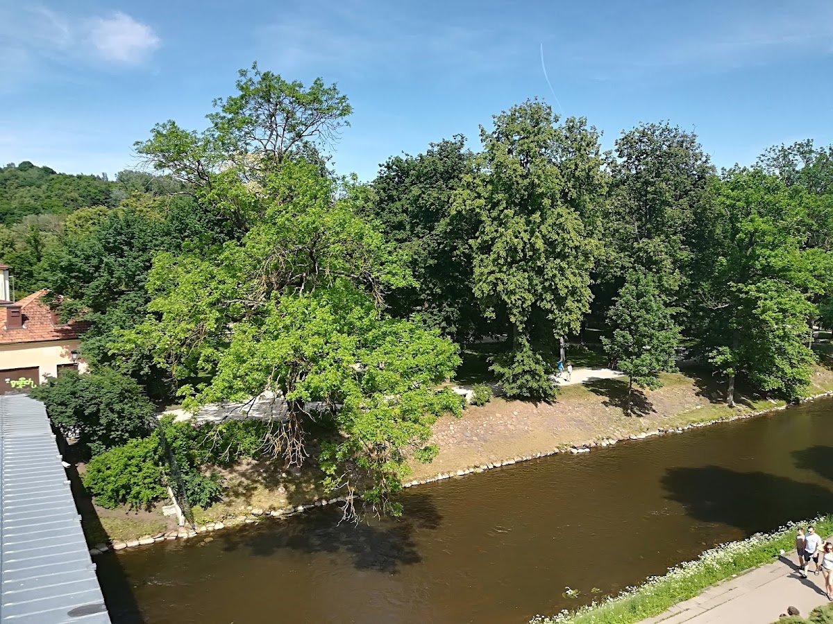 Academy of Art photo 5