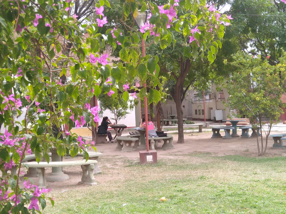 National University of Santiago del Estero photo 8