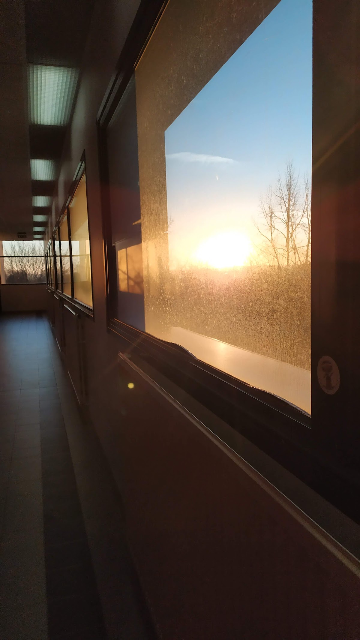 University of Limoges photo 1