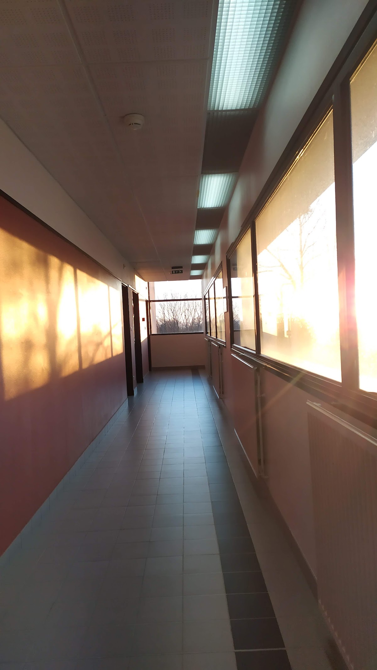 University of Limoges photo 2