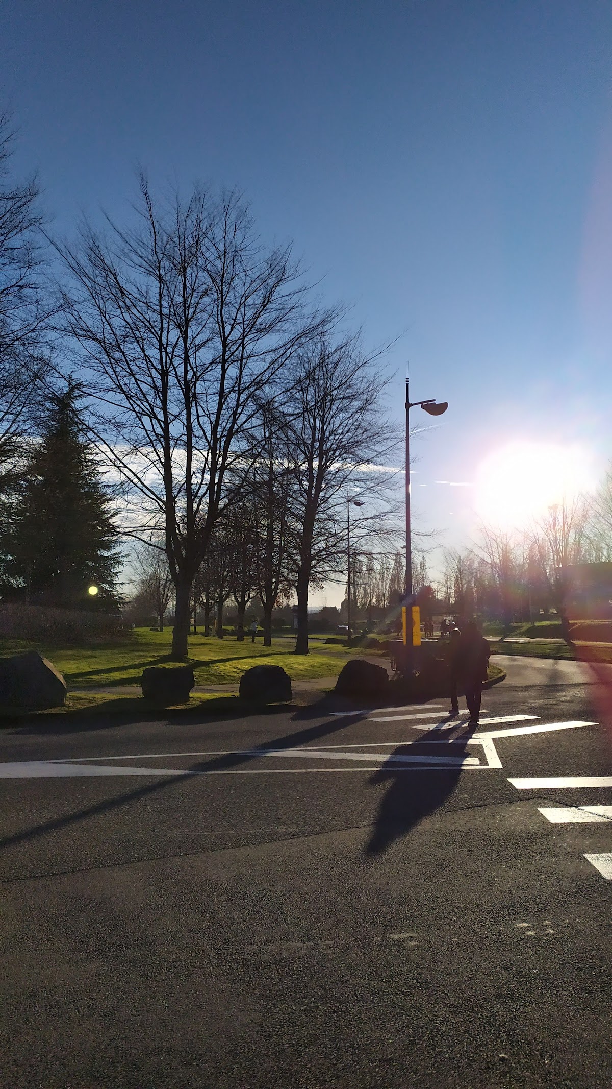 University of Limoges photo 6