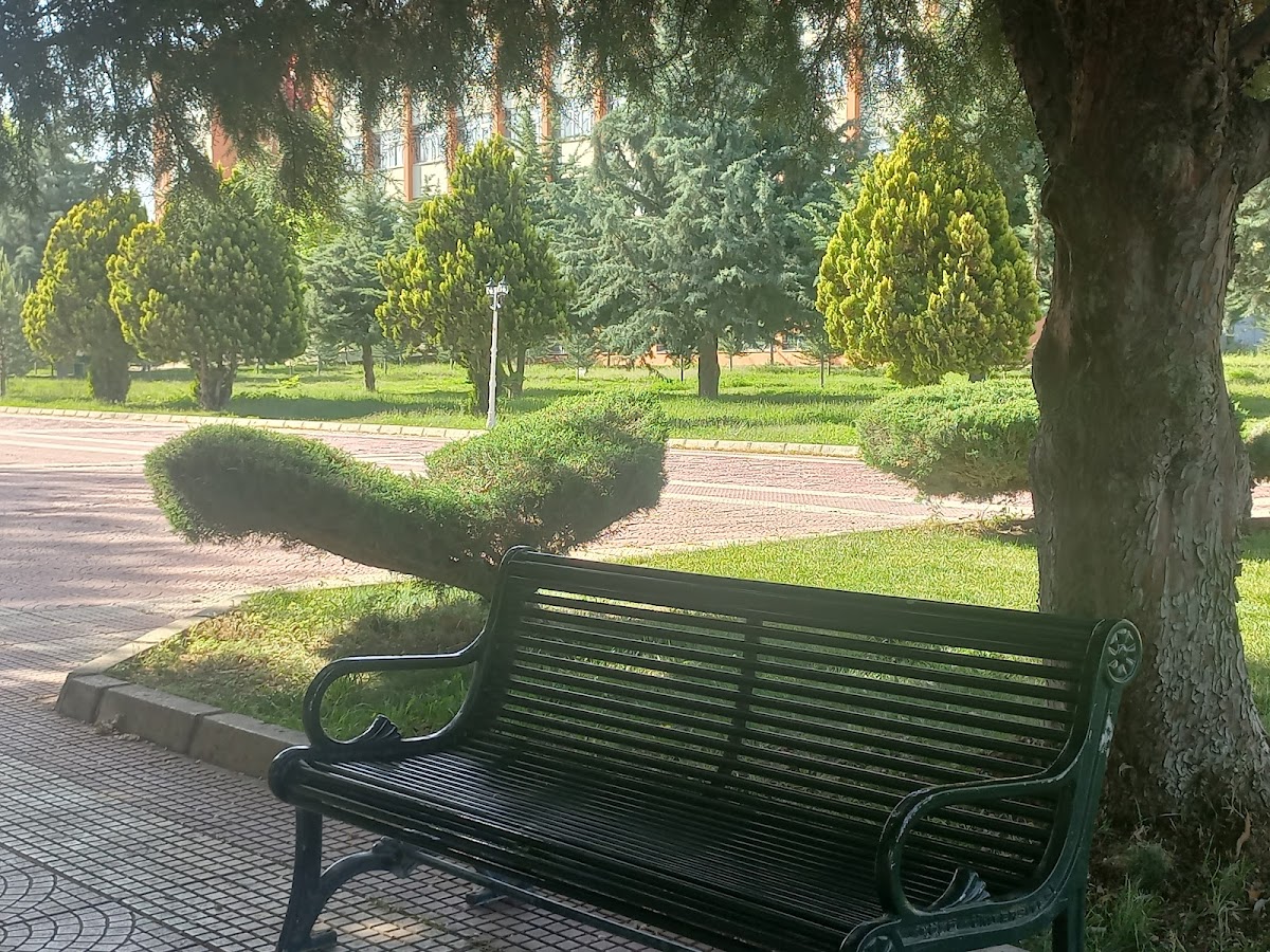 Inönü University photo 6