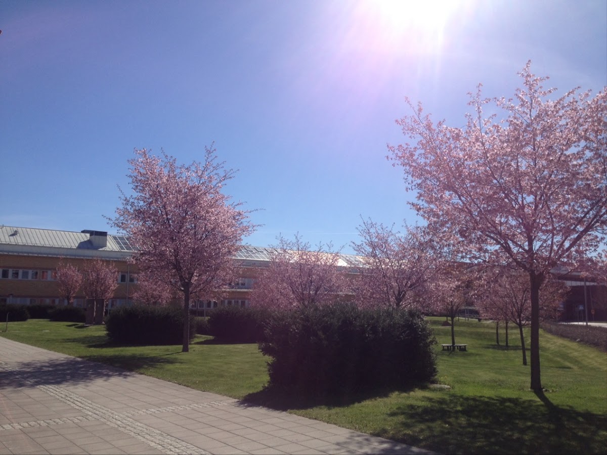 Karlstad University photo 9