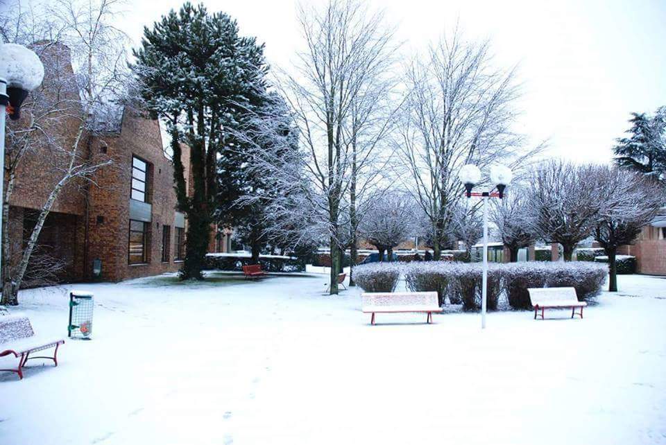 Université d'Artois photo 3