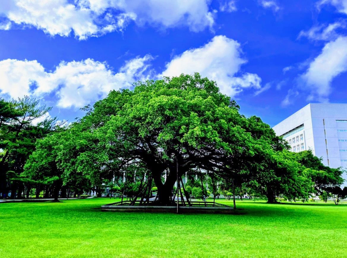 National Central University photo 2