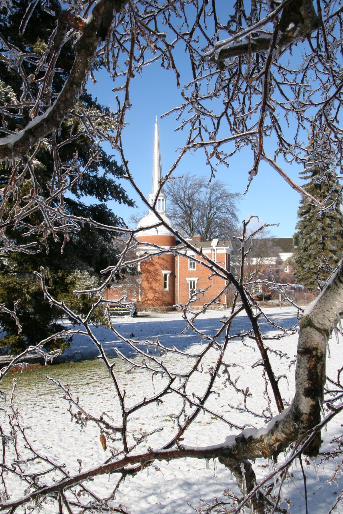 Albion College photo 9