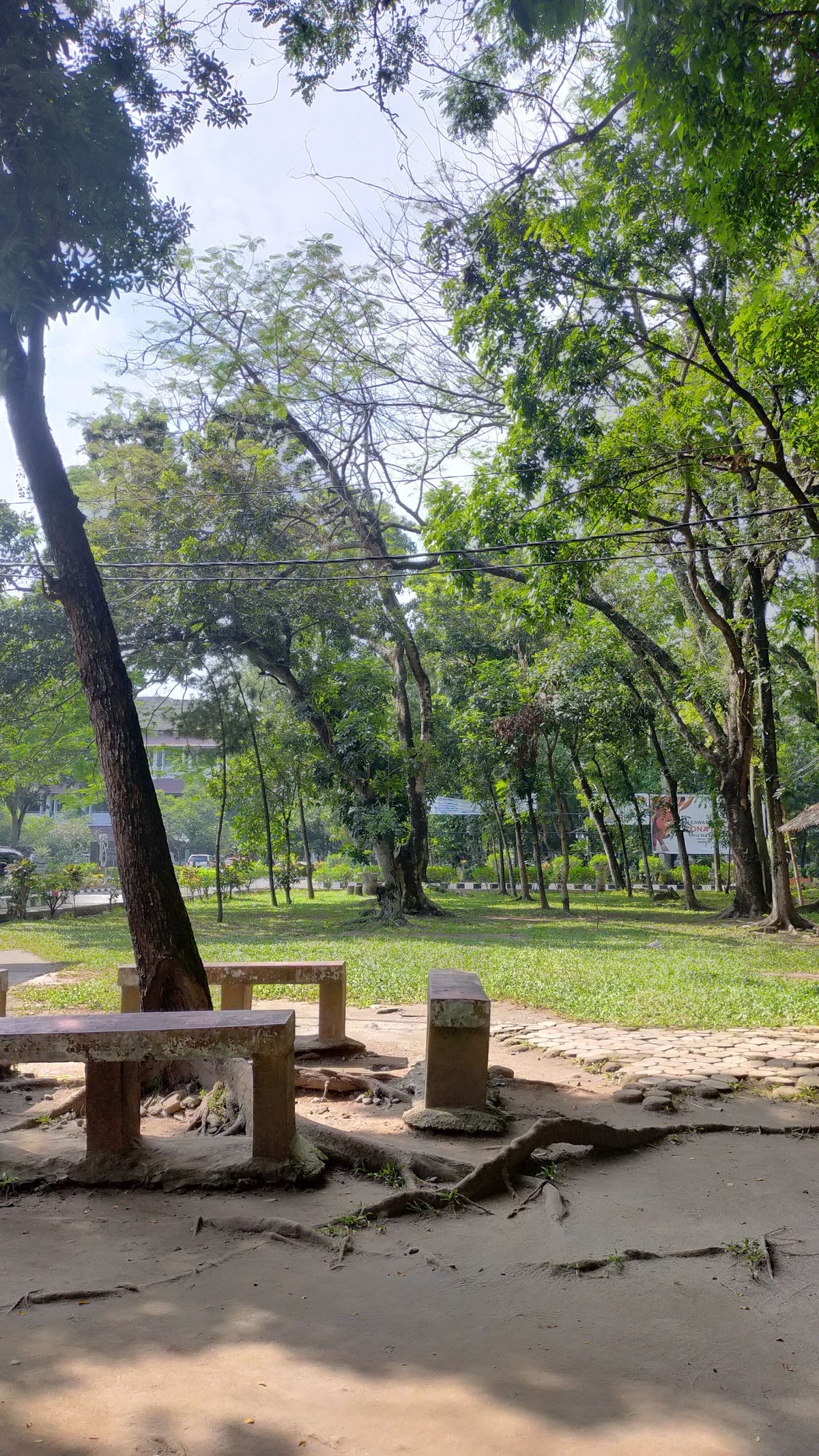 Universitas Negeri Medan photo 9