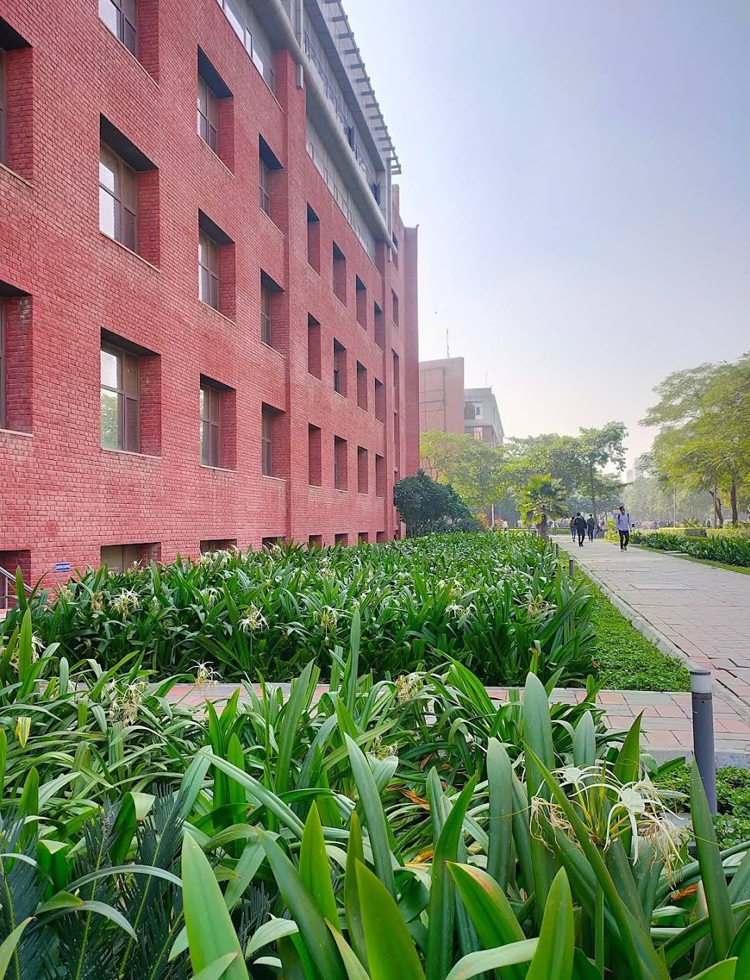 Amity University photo 9