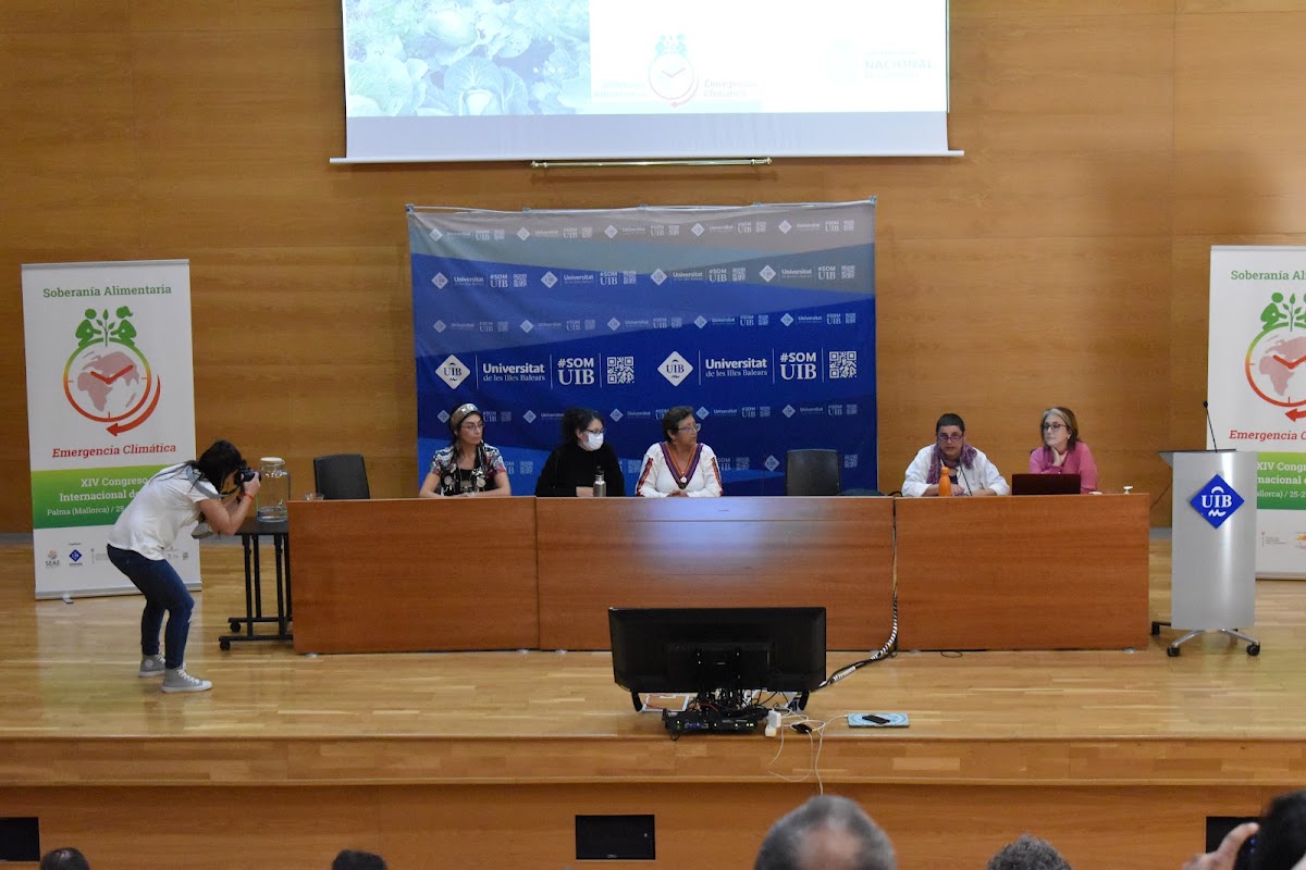 University of the Balearic Islands photo 1