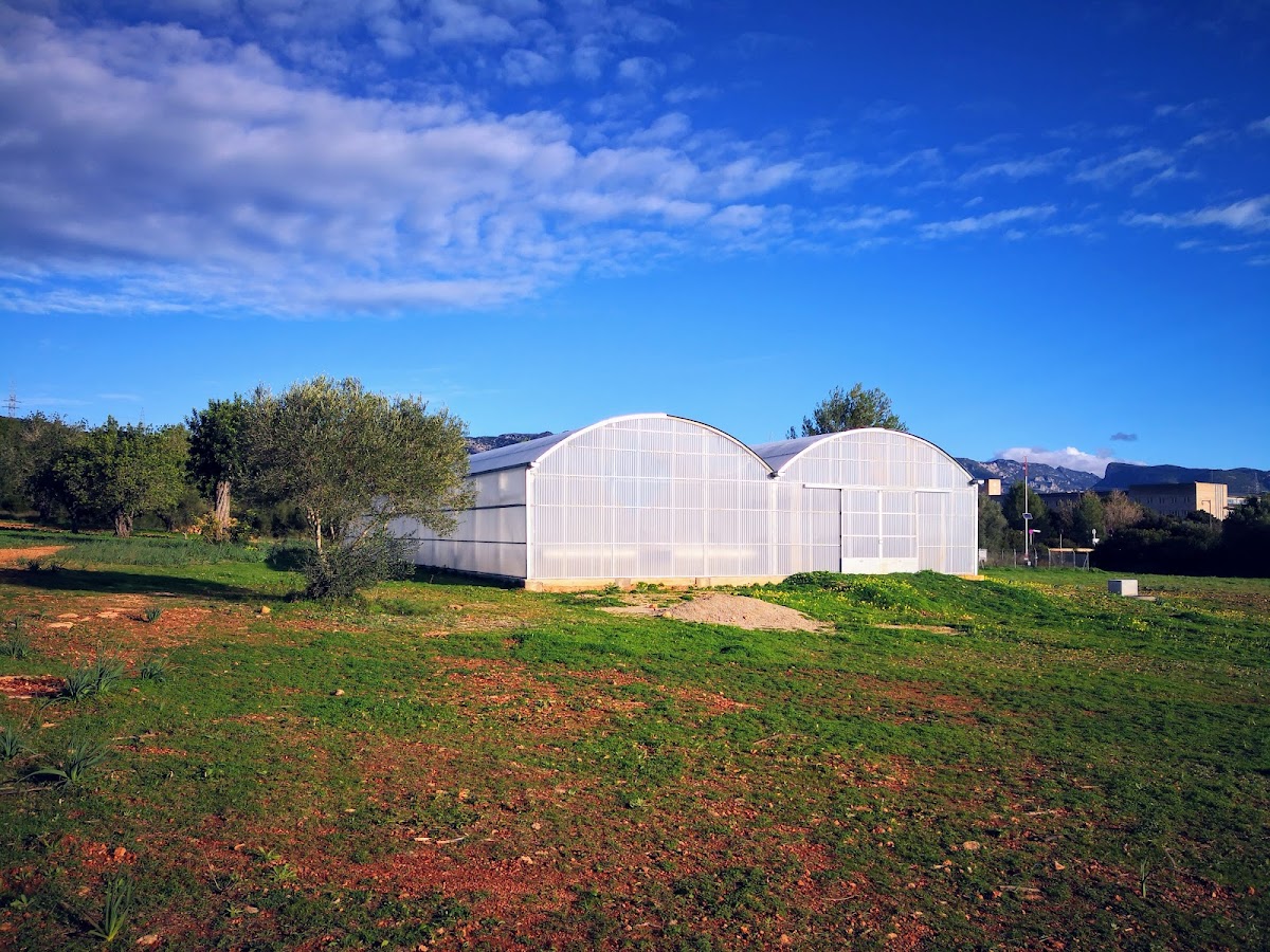 University of the Balearic Islands photo 2