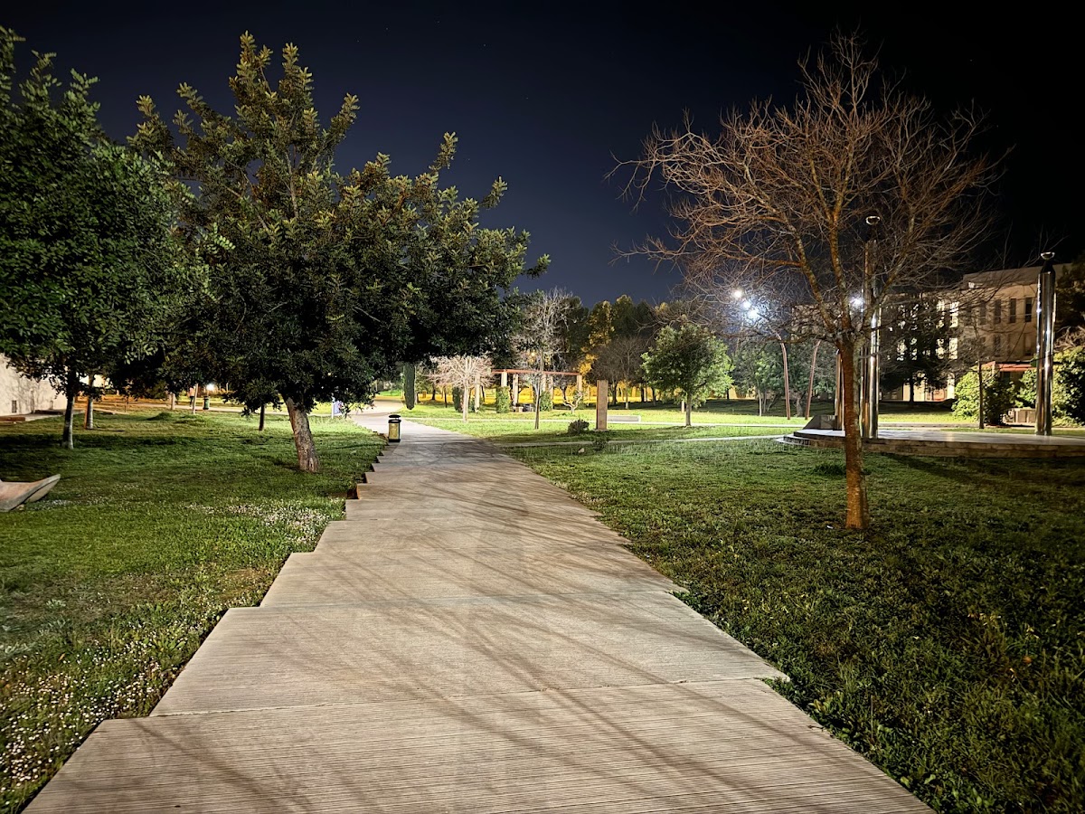 University of the Balearic Islands photo 3