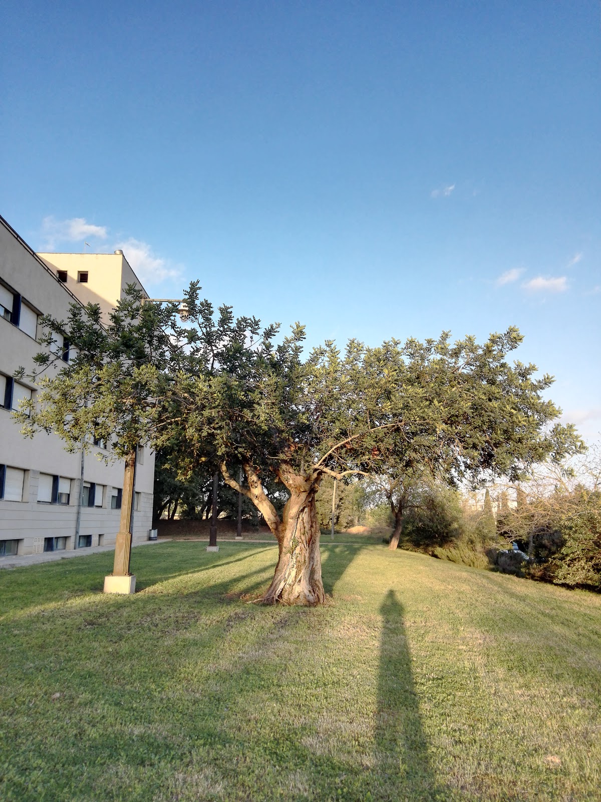 University of the Balearic Islands photo 5