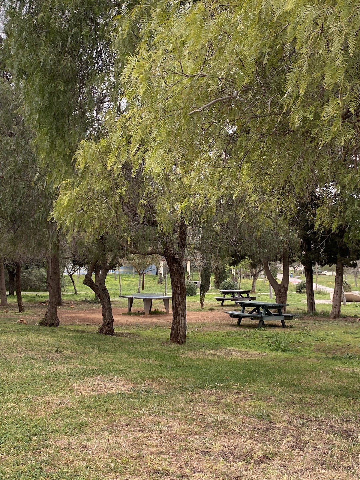 University of the Balearic Islands photo 6