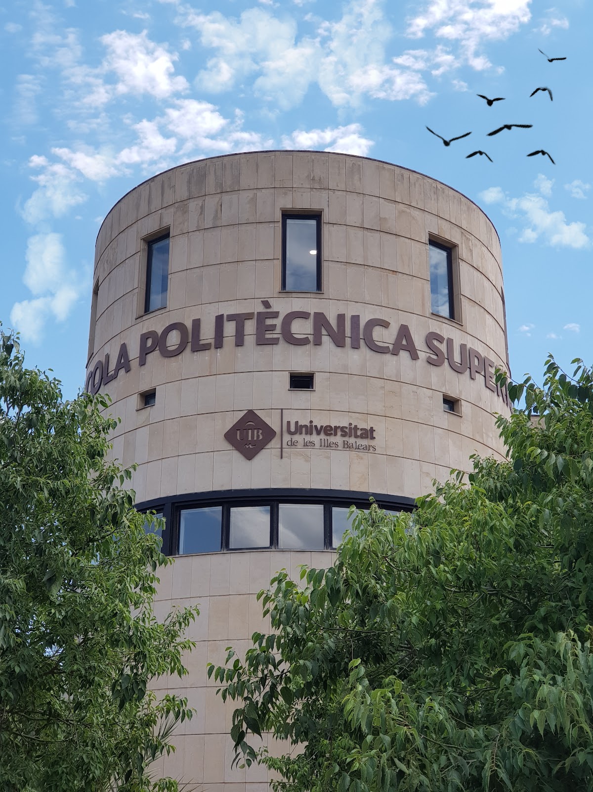 University of the Balearic Islands photo 8