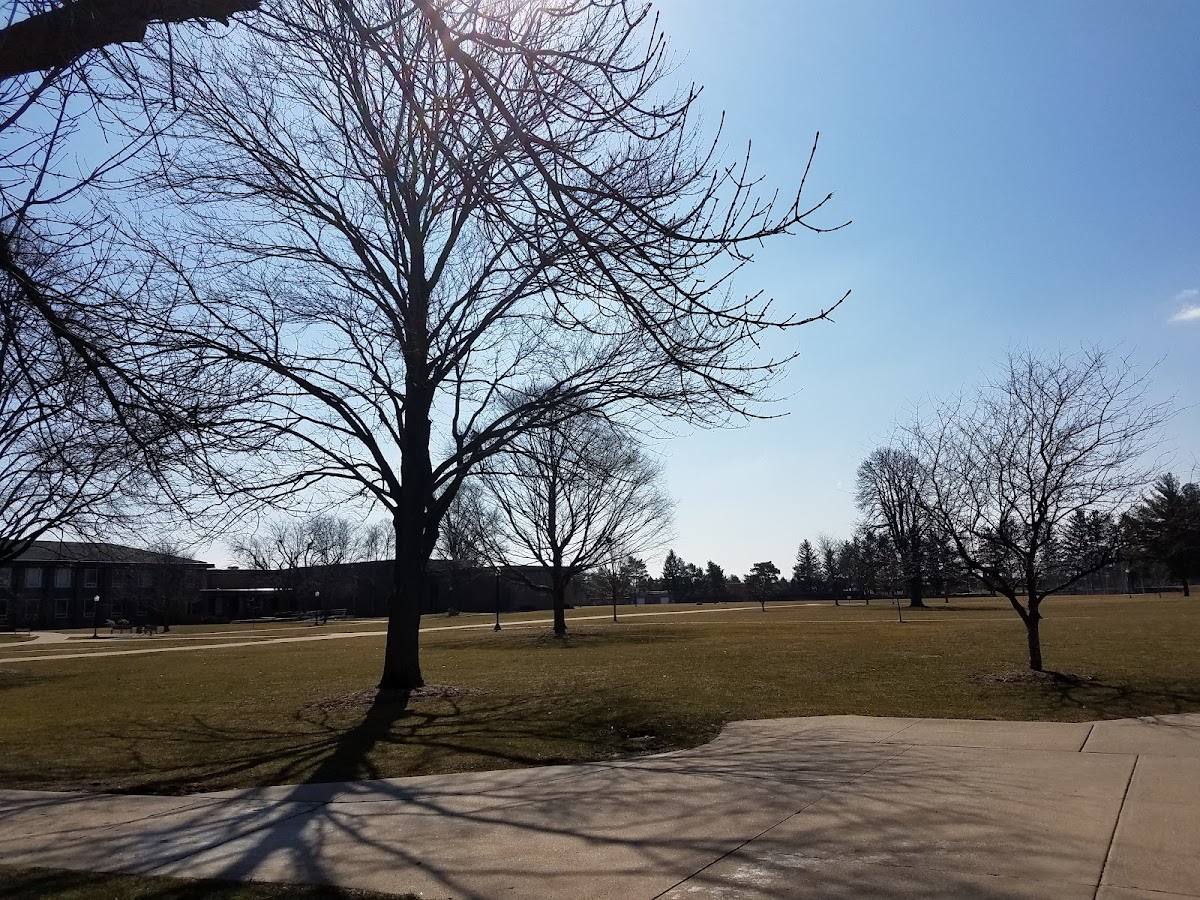 Knox College photo 7