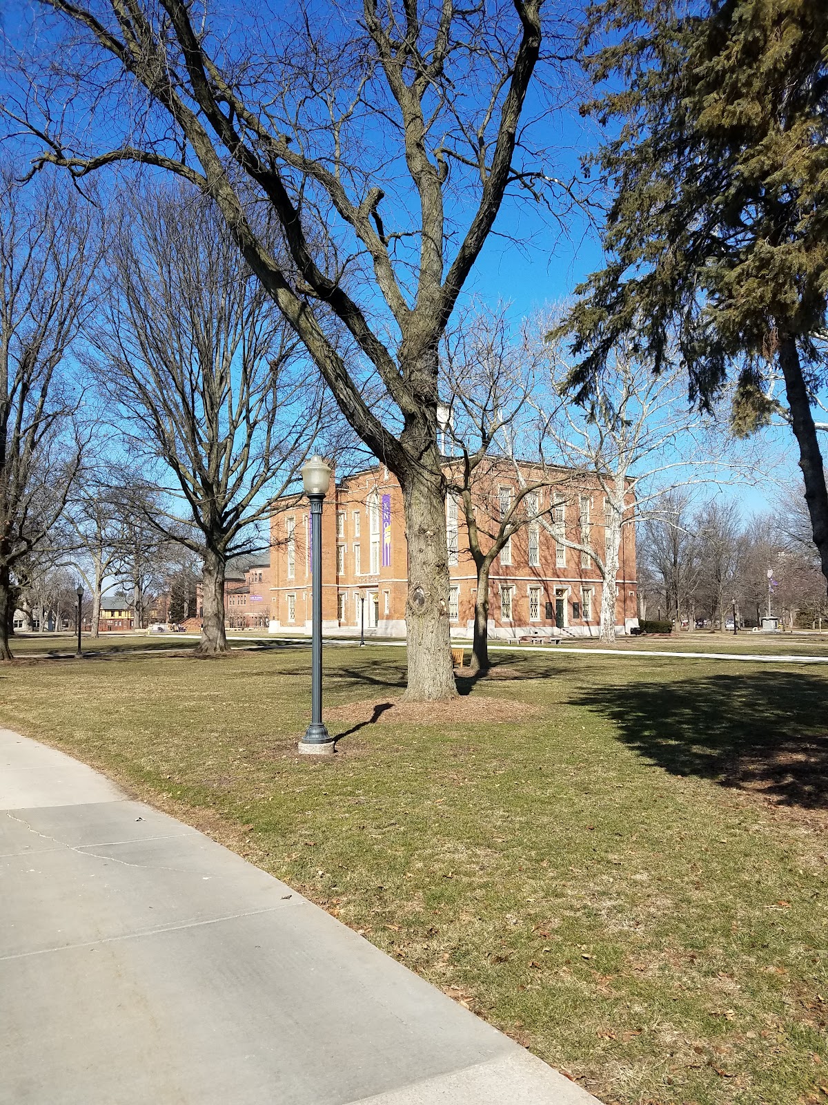 Knox College photo 8