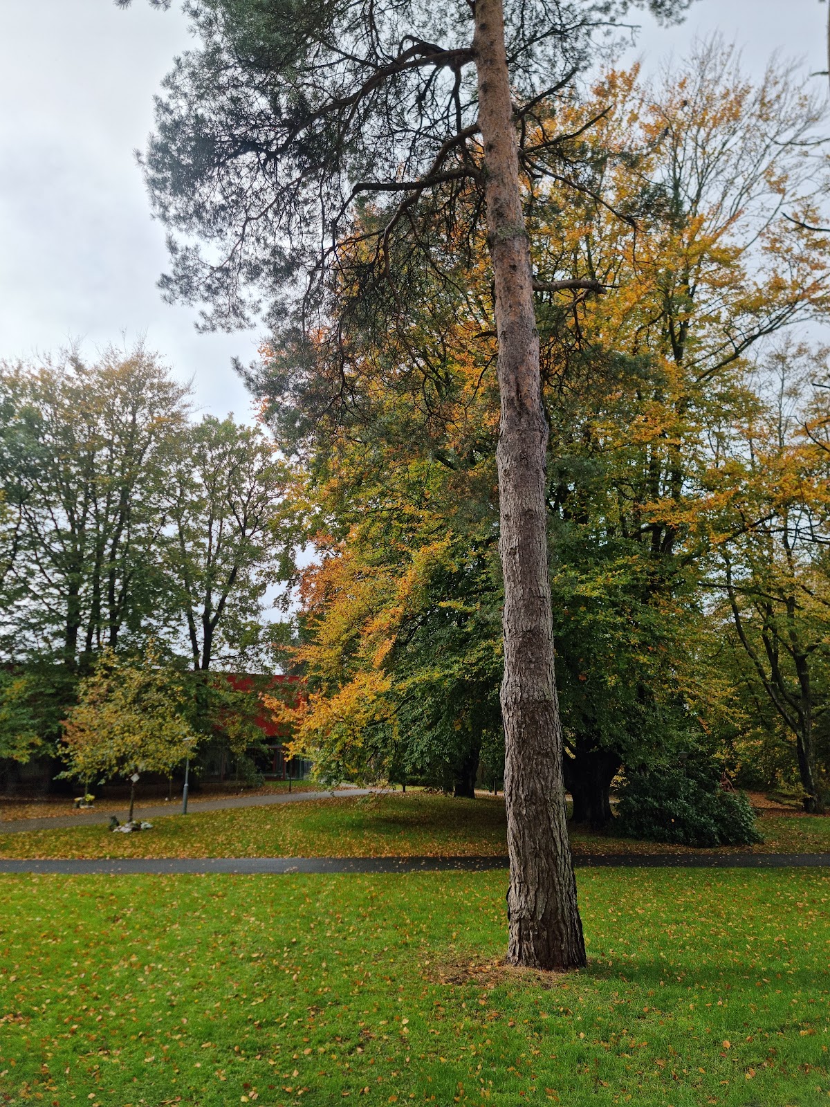 Edge Hill University photo 9