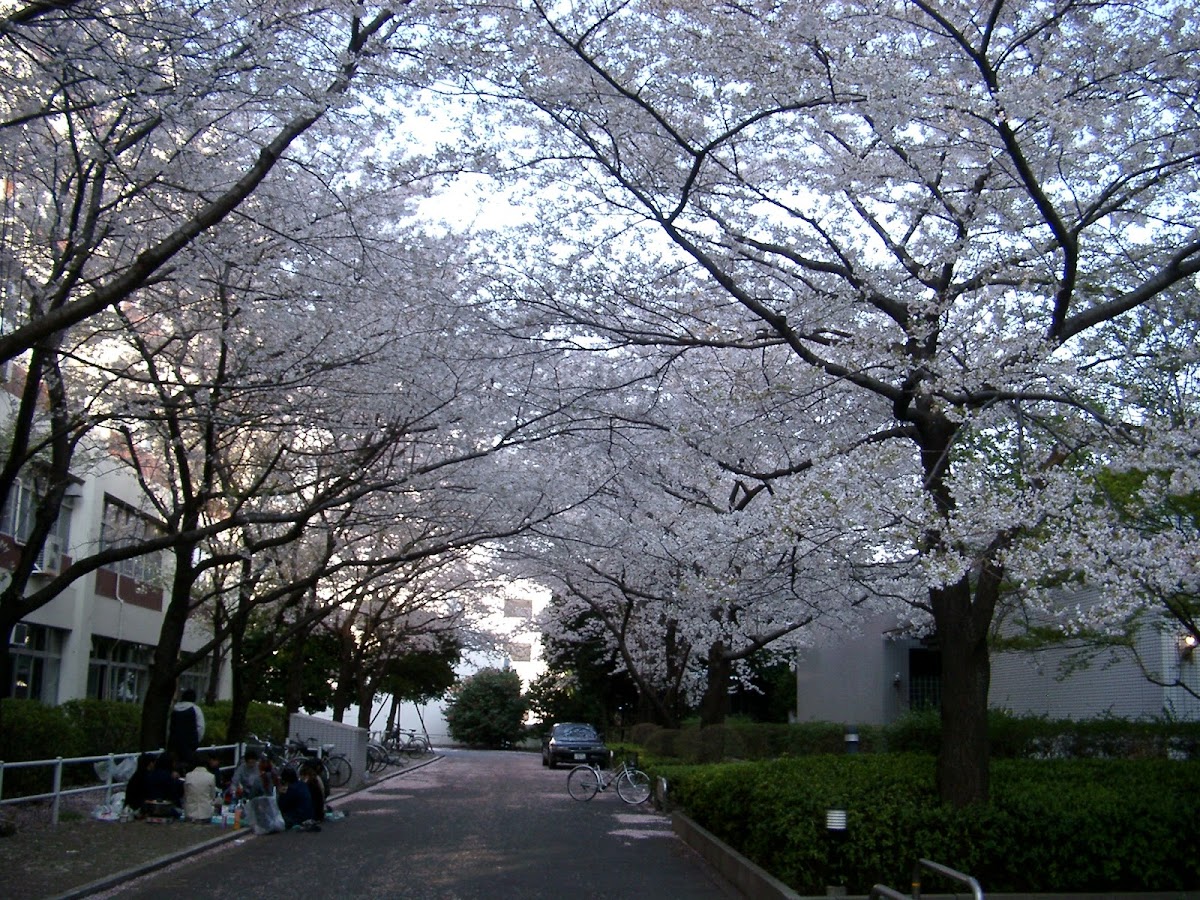 University of Electro-Communications photo 8