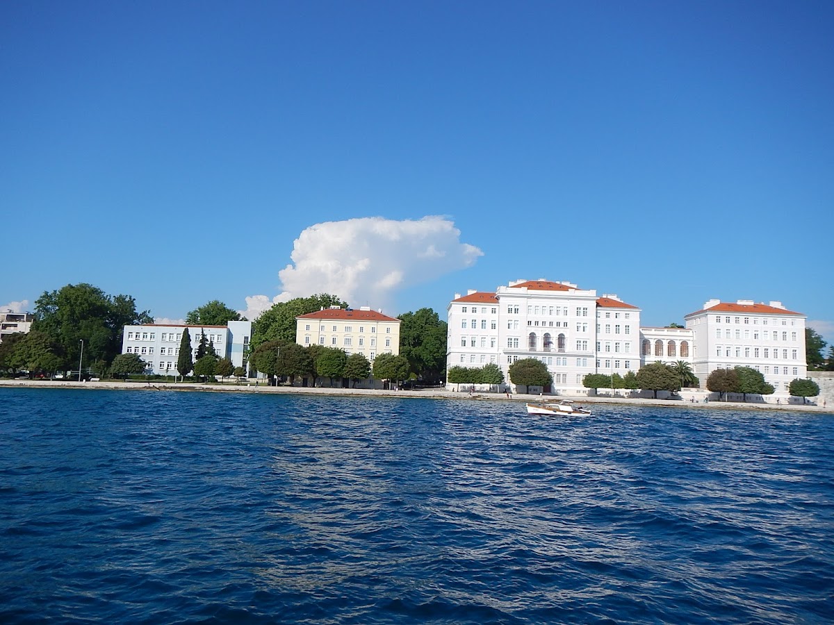University of Zadar photo 4