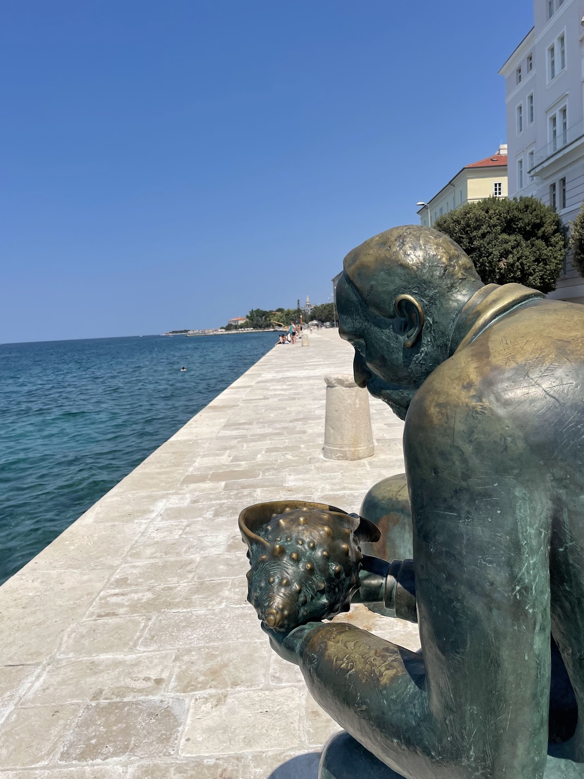 University of Zadar photo 8