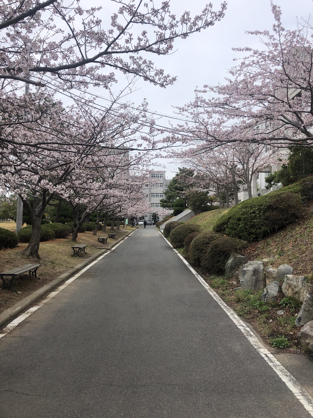 Korea Maritime and Ocean University photo 9