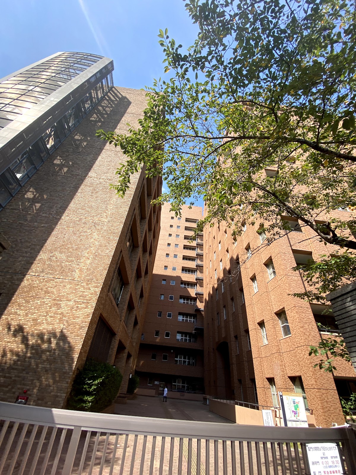 Tokyo Medical and Dental University photo 8