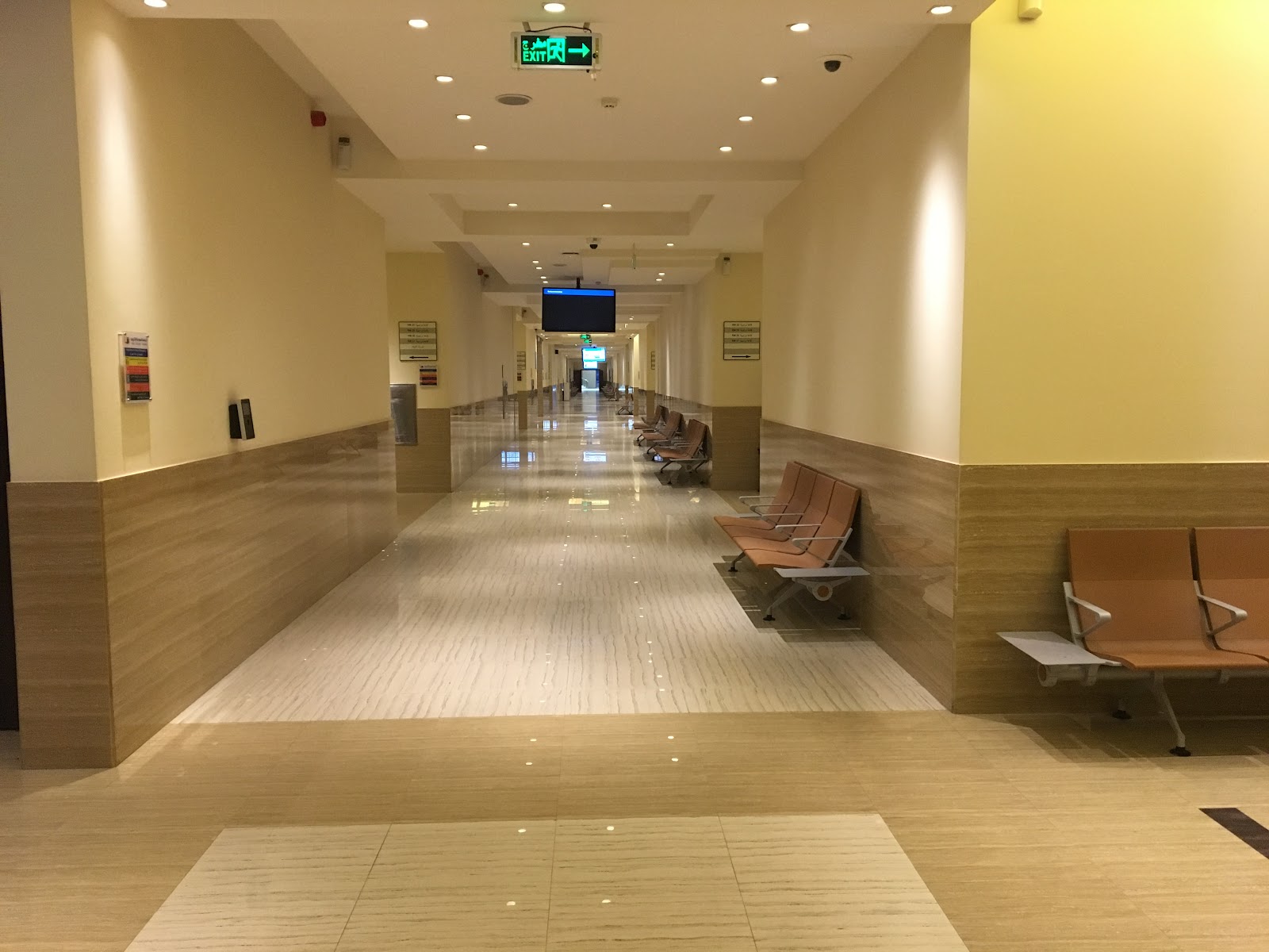 Saudi Electronic University