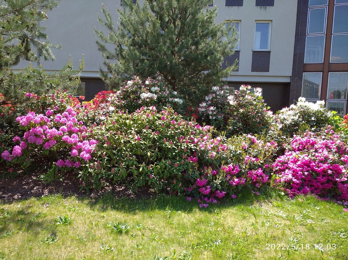 University of South Bohemia in České Budějovice photo 4