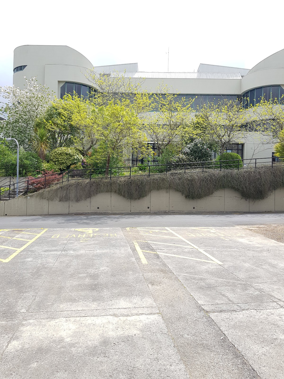 Waikato Institute of Technology (Wintec) photo 8