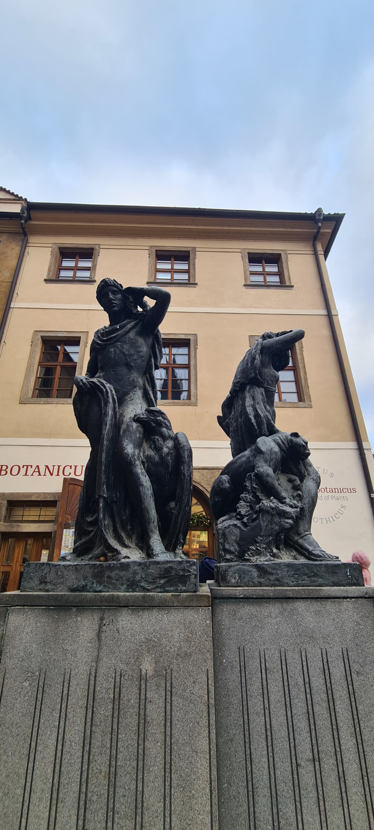 CEVRO Institute photo 8