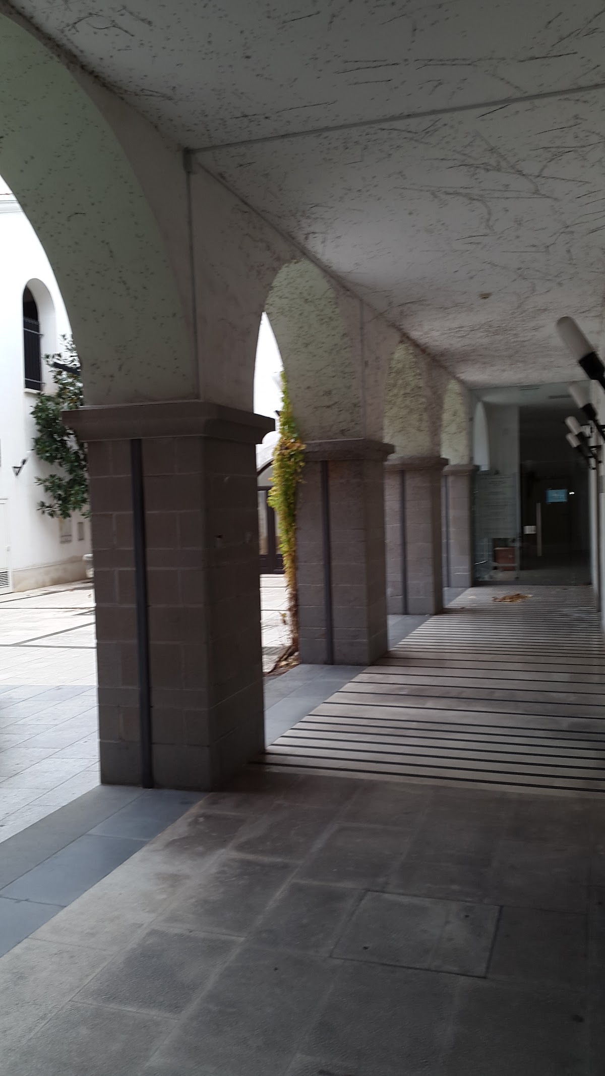 Faculty of Humanities, University of Primorska photo 9