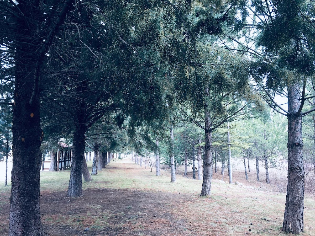 Tokat Gaziosmanpaşa University photo 9