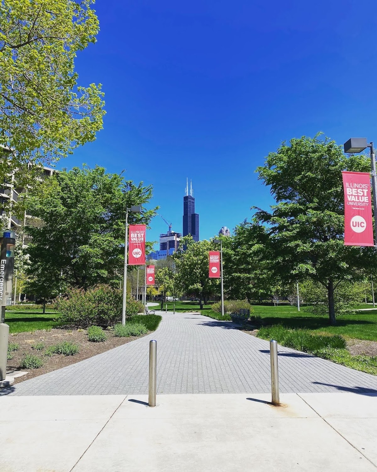 Regional University 1574 photo 4