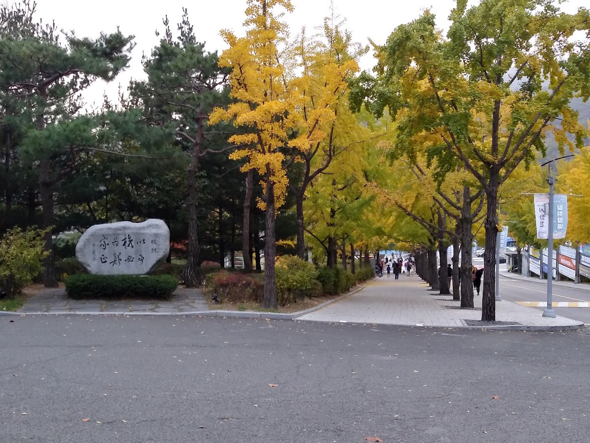 Kookmin University photo 8