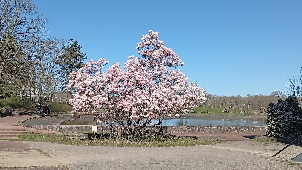 University of Orléans photo 4