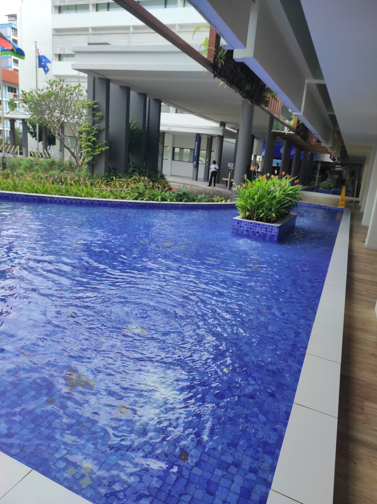 James Cook University Singapore photo 9