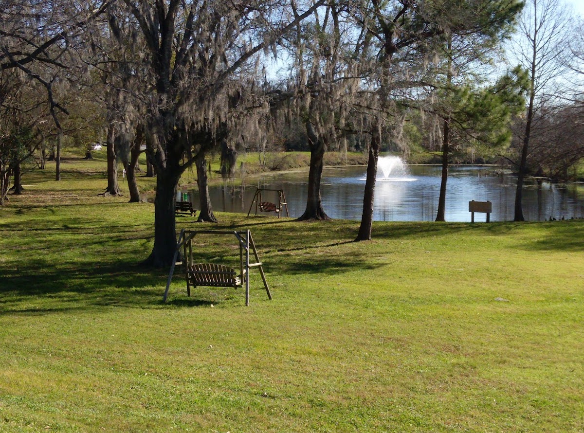 UH Clear Lake photo 1