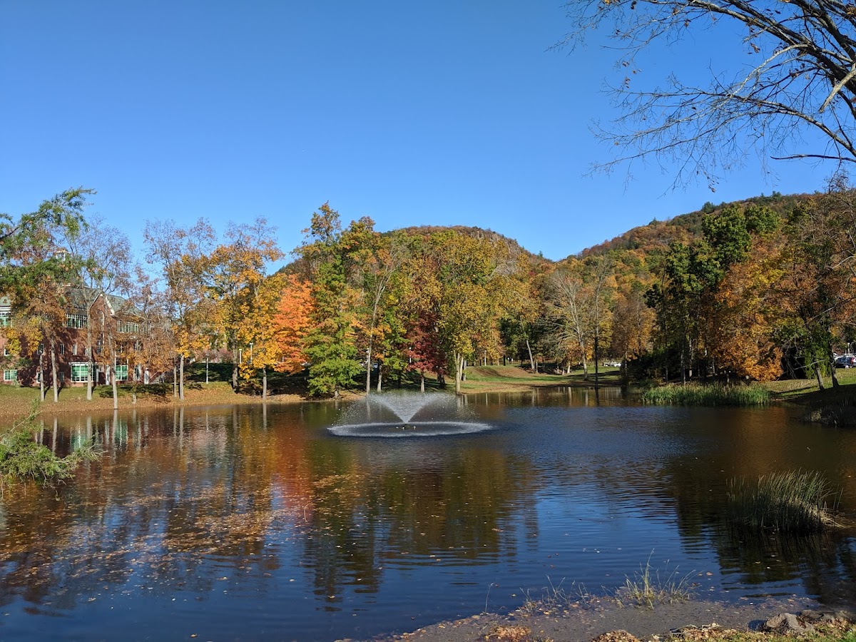 Quinnipiac University photo 4